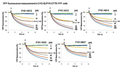 CHO-GLP1R-CFTR-YFP 세포주에서 유효물질 유도체들의 활성 평가