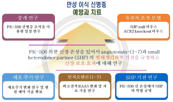 본 연구의 창의성과 도전성