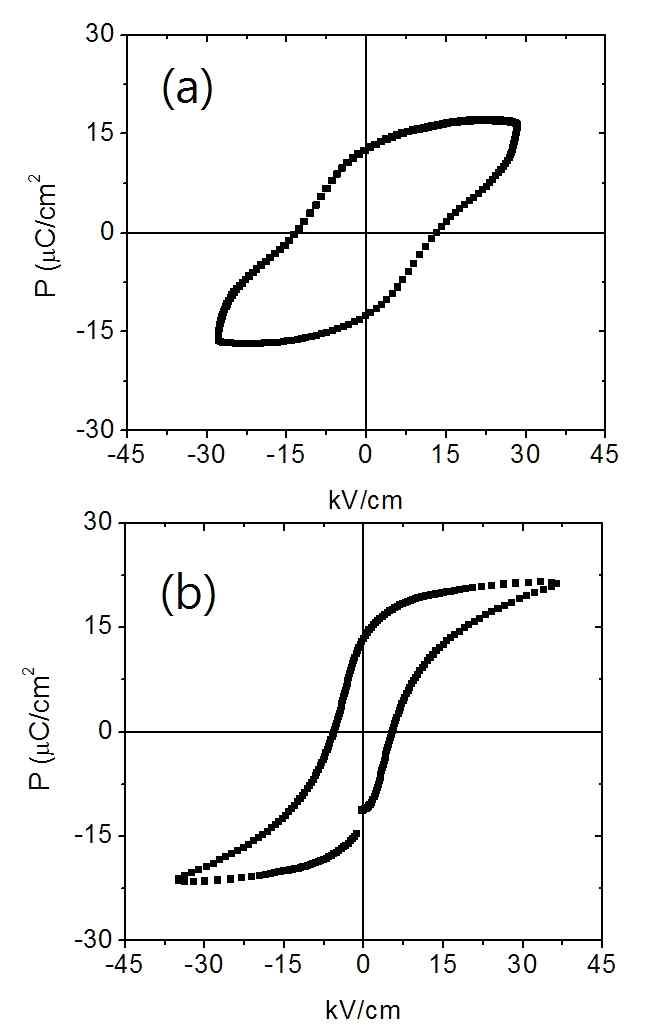 NKN및 NKNT 세라믹의 강유전 이력곡선