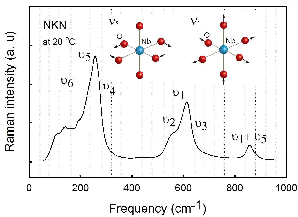 NKN ceramics세라믹의 Raman 분광특성