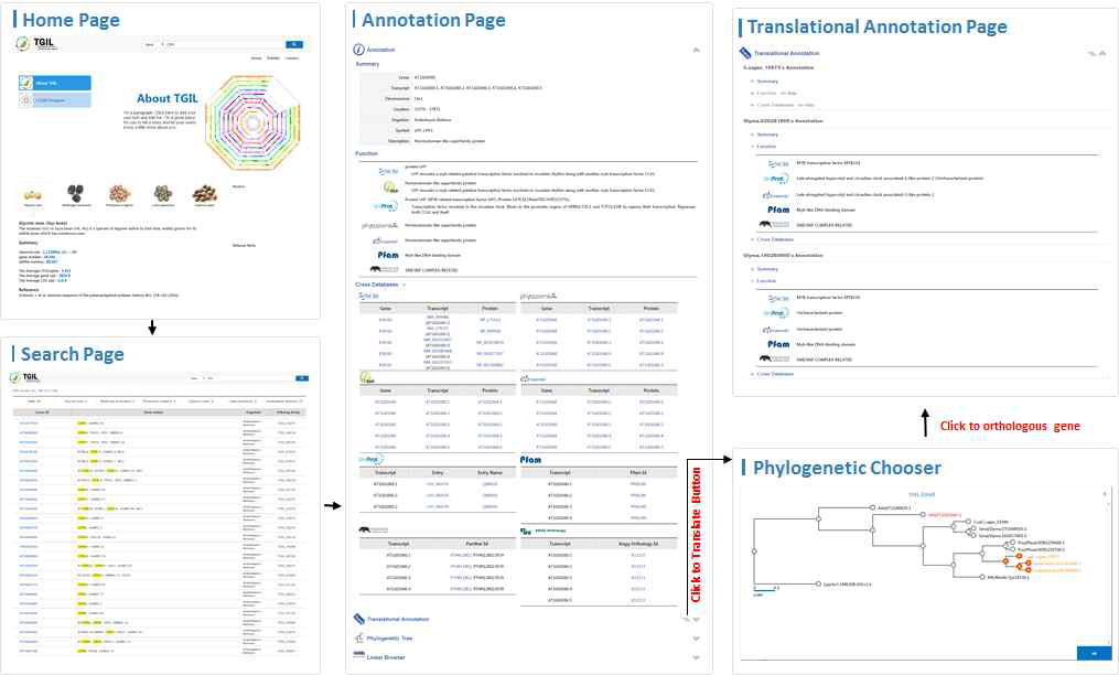 유전자 functional annotation 데이터베이스의 구성