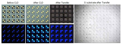 마이크로 LED 칩 제작후 CLO 칩분리 및 전사 공정기술