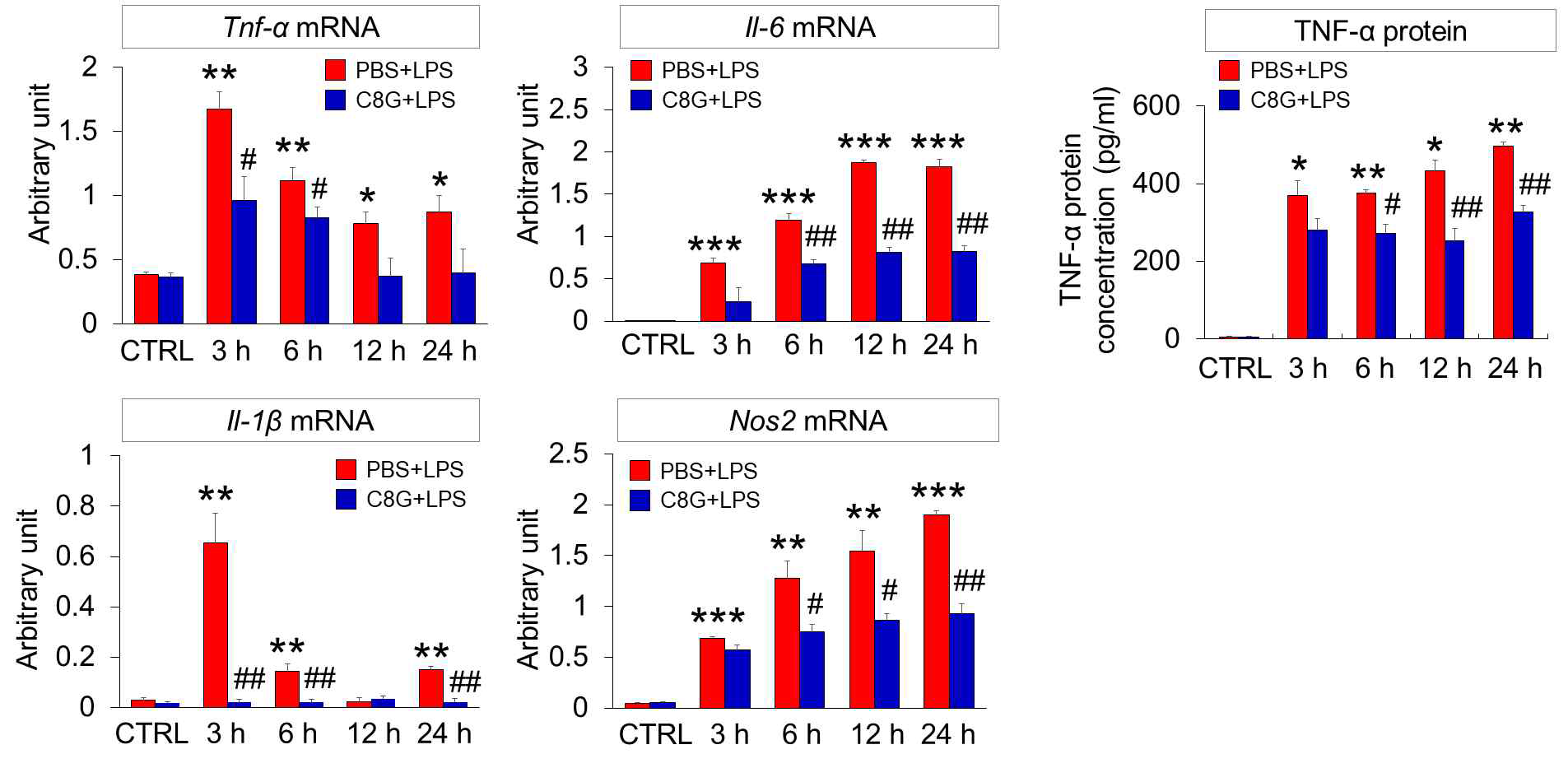 LPS를 처리한 미세아교 세포에서 염증 촉진성 cytokine 의 발현을 C8G의 처리로 감소되는 것을 확인하였음. 아래 그림: mRNA발현뿐만 아니라 TNF-α의 단백질 수준도 감소시키는 것으로 확인되었음