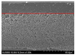 용매 증발 후, PVA/silica 계층화가 이뤄진 SEM 단면 이미지