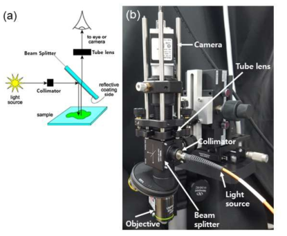(a) 반사 모드 현미경의 기본 원리 (b) 본 연구를 위해 제작개발 한 반사 모드 현미경