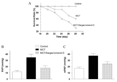 Sargacromenol D의 폐동맥 고혈압 완화 효능. A, Monocrotaline(60 mg/Kg) 복강 주사 후 대조군과 비교하여 생존율의 변화 양상. B, Monocrotaline으로 유도된 폐동맥 고혈압 동물모델에서 sargacromenol D의 우심실 내압 하강 효능. C, Sargacromenol D의 평균 폐세동맥압의 강하 효능. 데이터는 평균±표준편차로 나타내었음. 실험수는 10회