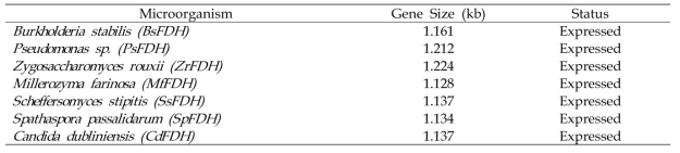 NAD-dependent formate dehydrogenase