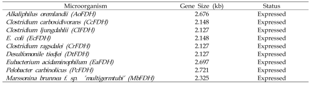 Prosthetic group-dependent formate dehydrogenase