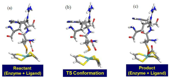 Reactant and product Model for QM/MM calculation: Transition state search by DMol3. Reactant and product models were designed. Geometry optimization of reactant and product were perfomed. (A) Reactant, (B) Transition state (C) Product