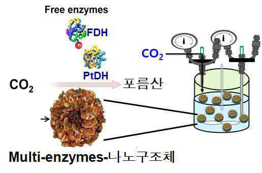 Nano enzyme cofactor reactor에 의한 이산화탄소로부터 포름산의 반복/연속 생산 공정