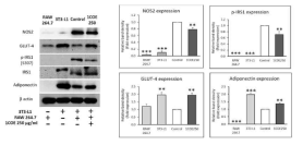 Effect of 1COE250 on protein expression of NOS2, GLUT-4, p-IRS1 and adiponectin in co-culture model