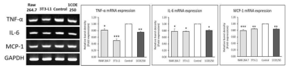 Effect of 1COE250 on mRNA expression of TNF-α, IL-6, and MCP-1 in co-culture model