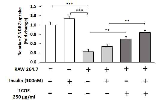 Effect of 1COE on glucose uptake in co-culture model