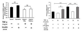 Effect of COE on glucose uptake in TNF-α-induced insulin resistance model