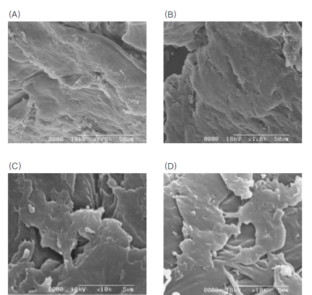 SEM pictures of cricket, Gryllus bimaculatus chitosan 1000x (A), 10000x (B) and commercial chitosan 1000x (C), 10000x (D)