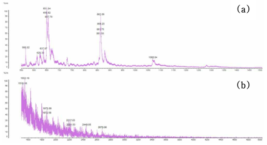 MALDI-TOF MS spectrum of cricket (Gryllus bimaculatus) chitosan; Strong peak signal (a), weak peak signal (b)