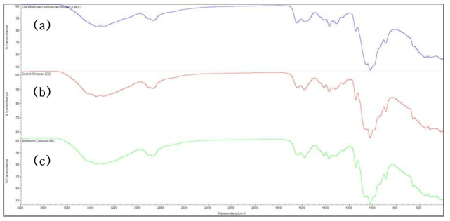 FT-IR spectra of commercial chitosan (a), cricket (Gryllus bimaculatus) chitosan (b) and the larvae of mealworm beetle (Tenebrio molitor) chitosan (c)