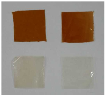 Top row, left: Cricket chitosan film containing 오미자 extract, right: shrimp chitosan containing 오미자 extract; bottom row, left: cricket chitosan film, right: shrimp chitosan film