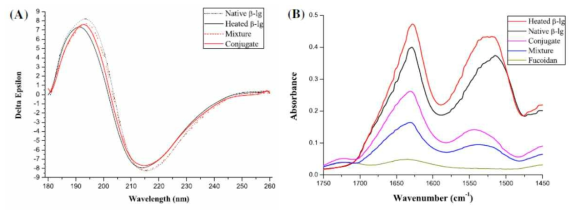 Circular dichroism spectra(A) and Infrared spectra(B) of native β-lg, heated β-lg, β-lg-fucoidan mixture, and β-lg-fucoidan conjugate