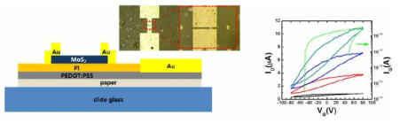 종이 기판 위에 제작된 MoS2 소자의 개략도 및 광학 현미경 이미지와 전기적인 특성