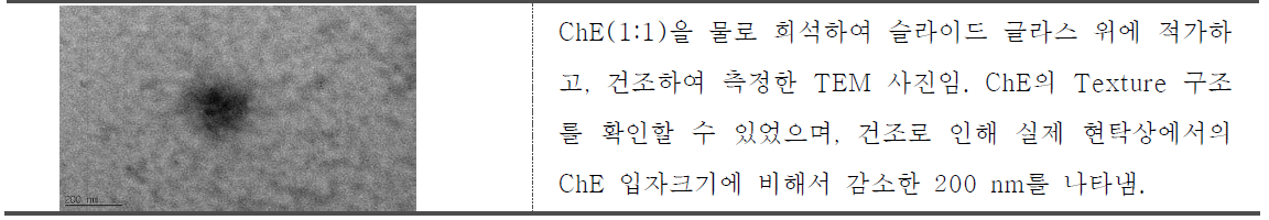 ChE(1:1)를 건조하여 찍은 TEM 사진