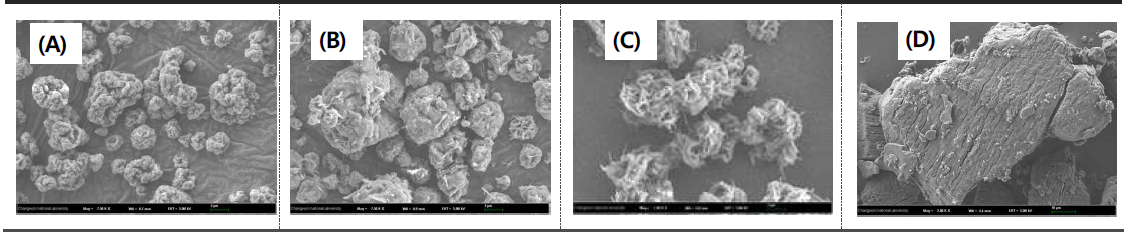 분무건조 입자의 SEM 사진: (A), SD-ChE(1:1);(B), SD-ChET(1:1:1);(C), SD-ChEC(1:1:0.1);(D)-Ecabet