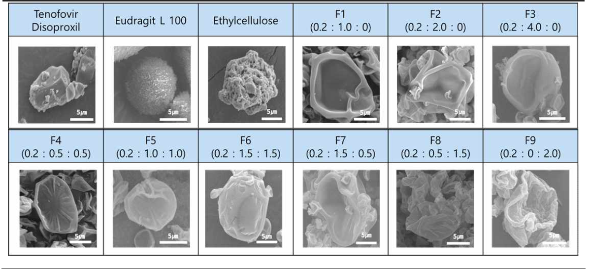 SEM Image 결과