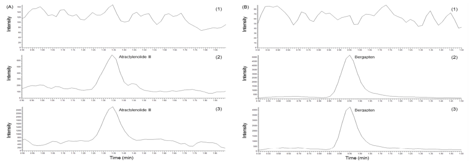 Representative chromatograms of atractylenolide III (A) and bergapten(IS, B): blank plasma (1), blank plasma spiked with atractylenolide III at LLOQ and IS (2), and plasma samples obtained from rats 2 h after oral administration of A. japonica extract (3)