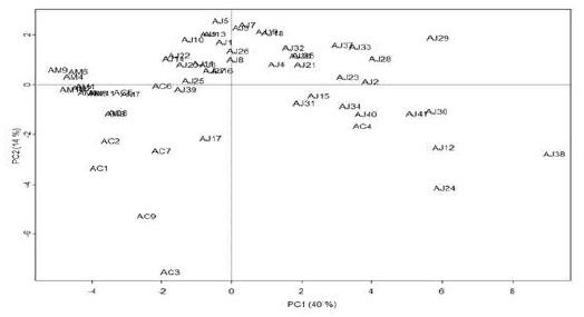 Score plot of principal components (PC1 vs. PC2) on the variables (absolute area of reference peaks) with Atractylodes samples from the hot-water extracts