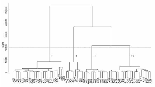 Hierarchical clustering analysis of Atractylodes samples from methanol extracts