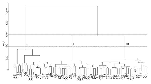 Hierarchical clustering analysis of Atractylodes samples from hot-water extracts