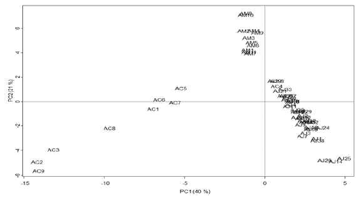 Score plot of principal components (PC1 vs. PC2) on the variables (absolute area of reference peaks) with Atractylodes samples from the methanol extracts