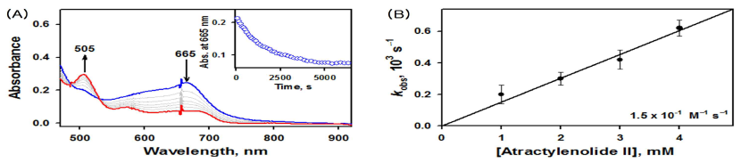 (A) UV-vis spectral changes of [(tmp+•)FeIV(O)]+(0.025mM)(1, blue line) upon addition of 40 equiv of atractylenolide II at –40 °C resulting in the formation of [FeIII(tmp)](CF3SO3) (redline). Inset shows the time course of the decay of 1 monitored at 665 nm. (B) plot of pseudo-first order rate constants (kobs) against the concentrations of atractylenolides II to determine k2 in the oxidation of atractylenolideII by1