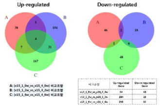 Venn diagrams of genes regulated at different time in two cultivars