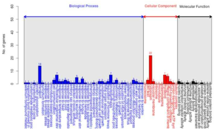 DEGs를 이용한 GO 분석 중 down-regulated 유전자 (X15-1 0주 vs X15-4 0주)