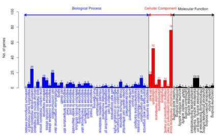 DEGs를 이용한 GO 분석 중 up-regulated 유전자 (X15-1 2주 vs X15-4 2주)