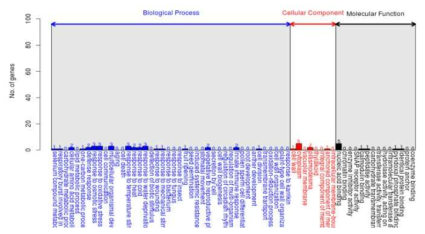 DEGs를 이용한 GO 분석 중 down-regulated 유전자 (X15-1 2주 vs X15-4 2주)