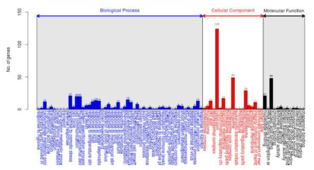 DEGs를 이용한 GO 분석 중 up-regulated 유전자 (X15-1 6주 vs X15-4 6주)