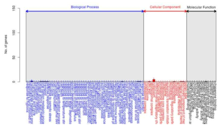 DEGs를 이용한 GO 분석 중 down-regulated 유전자 (X15-1 6주 vs X15-4 6주)