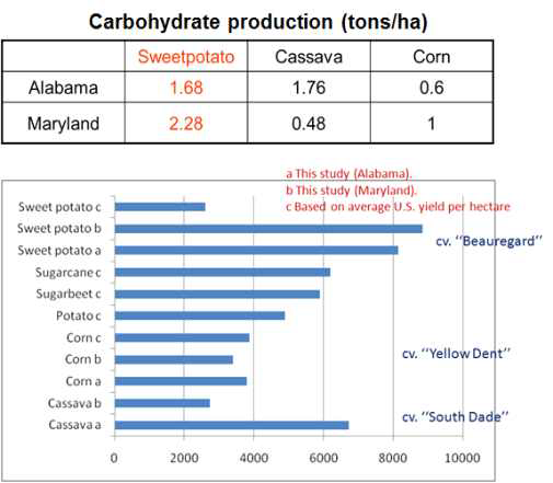 미국의 Alabama와 Maryland 지역에서 재배된 고구마, 카사바, 옥수수로부터 생산된 탄수화물 생산량 (Biomass Bioenerg 2009)