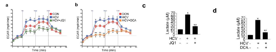 c-Myc와 PDK의 억제제는 HCV감염세포에서 glycolysis에서 유래된 lactate의 생산을 감소시킴