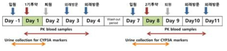 전향적 임상시험의 연구 디자인