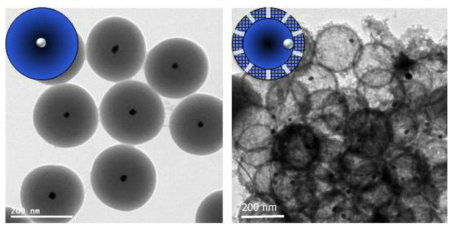 백금 나노입자를 Core부분에 도입한 Core@Shell 구조를 합성하고 (좌), 이를 Hollow 구조로 전환시킨 결과를 보여주는 투과전자현미경 사진 (우)