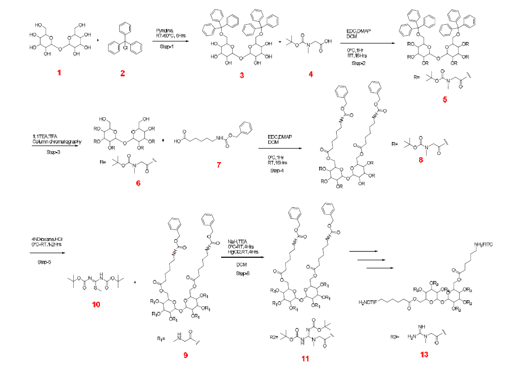 트레할로스에 크레아틴이 결합된 화합물의 합성