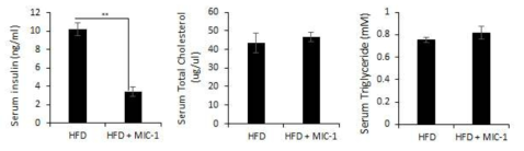 MIC-1을 찌르며 고지방식이를 병행한 쥐의 혈청에서 측정한 인슐린(왼쪽), 총콜레스테롤(중간), 총 중성지방(오른쪽)