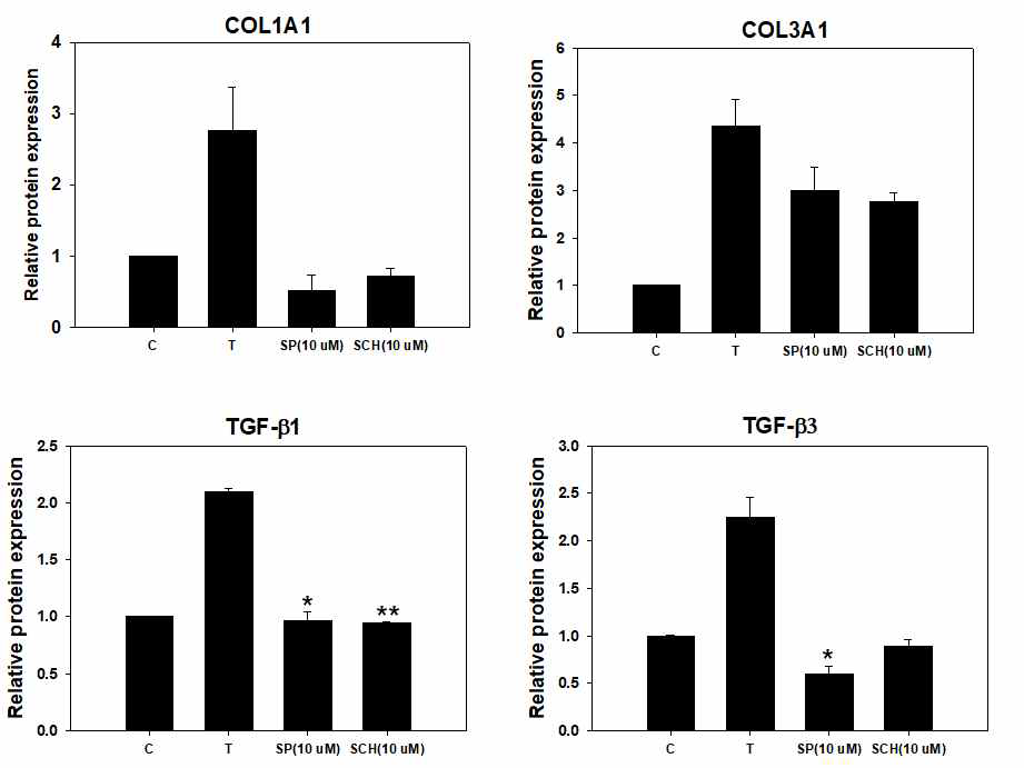 JNK 및 ERK의 inhibitor인 SP600125와 SCH772984에 의한 collagen 및 TGF-beta의 발현량 변화. TSLP 처리 후 JNK 및 ERK의 inhibitor인 SP600125 와 SCH772984 처리 시 COL1A1, COL3A1, TGF-b1 와 TGF-b3의 발현이 감소함