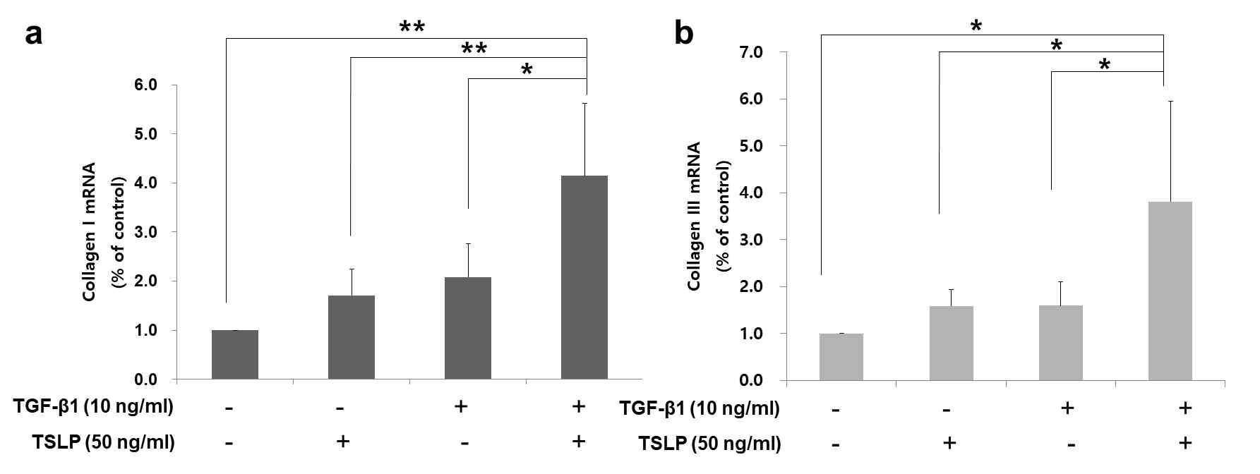 TSLP와 TGF-beta의 콜라겐 발현에 대한 상승효과. TSLP 및 TGF-beta 단독 처리군에 비하여 TSLP, TGF-beta 동시 처리 군에서 collagen 1 과 collagen 3이 더욱 증가함을 확인함