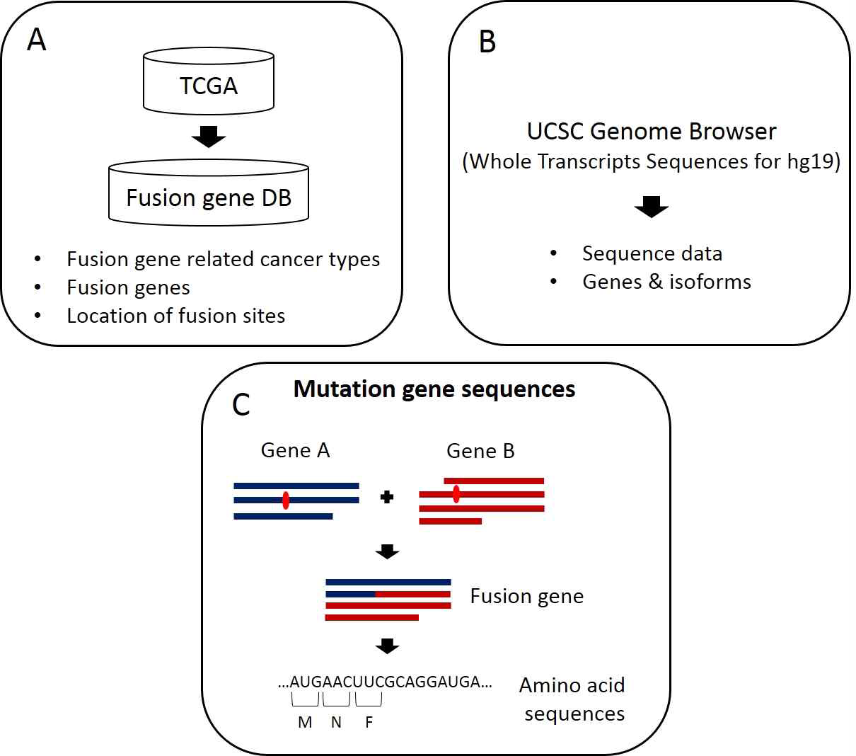 유전자 변이, 유전자 서열 정보를 이용하여 융합 유전자(Fusion Gene)의 아미노산 서열 정보 등의 유전자 변이 정보 구축