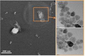 NaOH/Urea 복합용매를 이용한 나노셀룰로오스입자