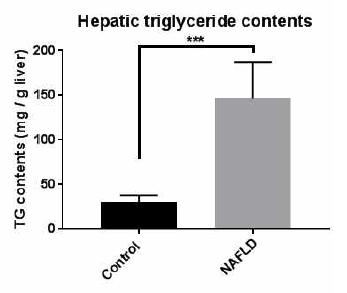 Hepatic treglyceride levels in control and NAFLD rats (n = 6, each)